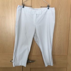 Rafaella stretch capris 18W